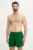 Hummel pantaloni scurți de baie hmlNED SWIM SHORTS culoarea verde, 227641