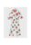 Pijama baieti –  301931751 – Bumbac