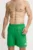 The North Face pantaloni scurti de baie M Water Short culoarea verde, NF0A5IG5PO81